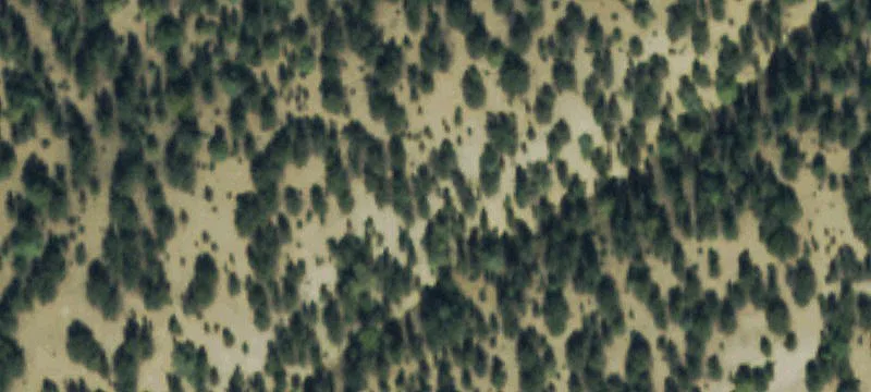 80 Acres Near Salida