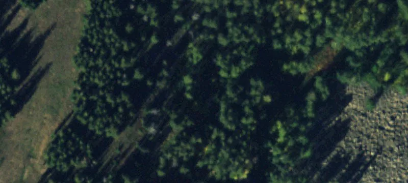 Half-Acre Homesite in Wildridge