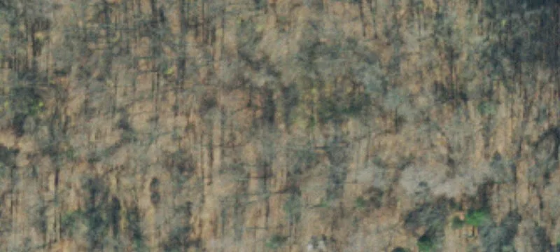 11 Acre Residential Land Parcel