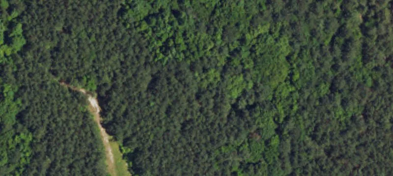Expansive Homesite Near Liberty, NC
