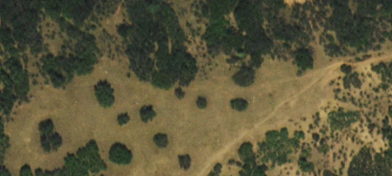 Expansive Acreage with Mountain Views