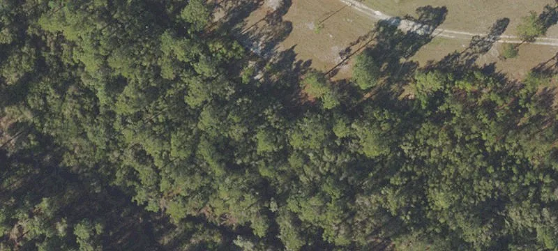 12 Acres on Highway 77