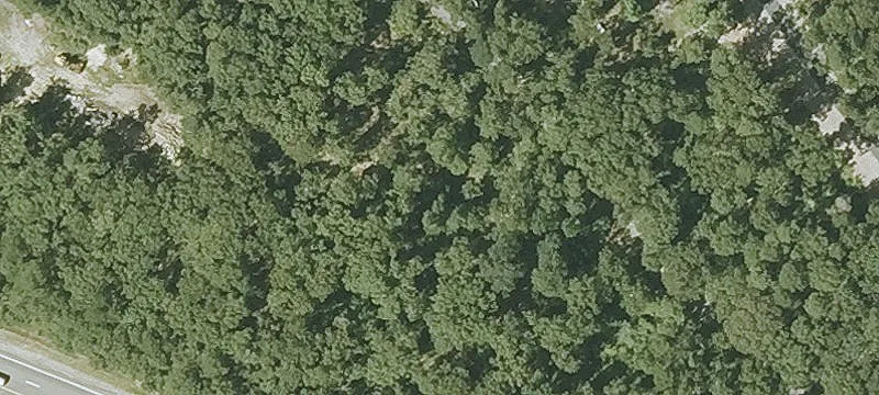 East Sandwich Buildable Marsh View Lot