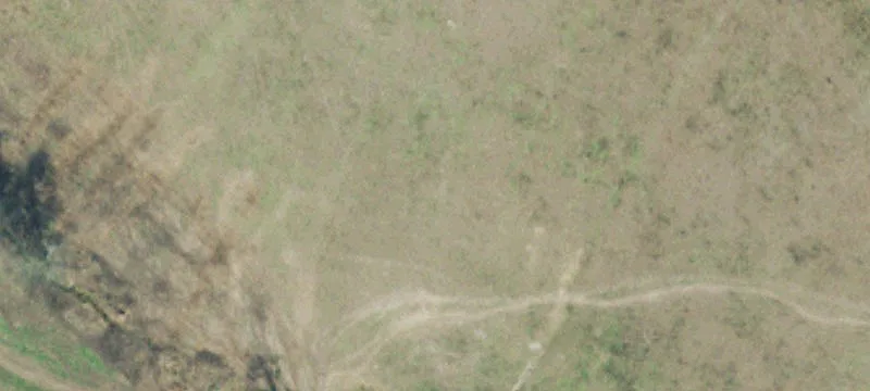 88 Acres Cattle Farm Ready