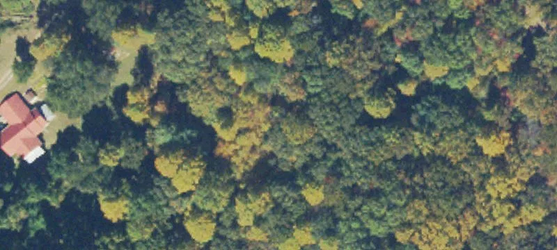 Gainesville Land with Development Potential