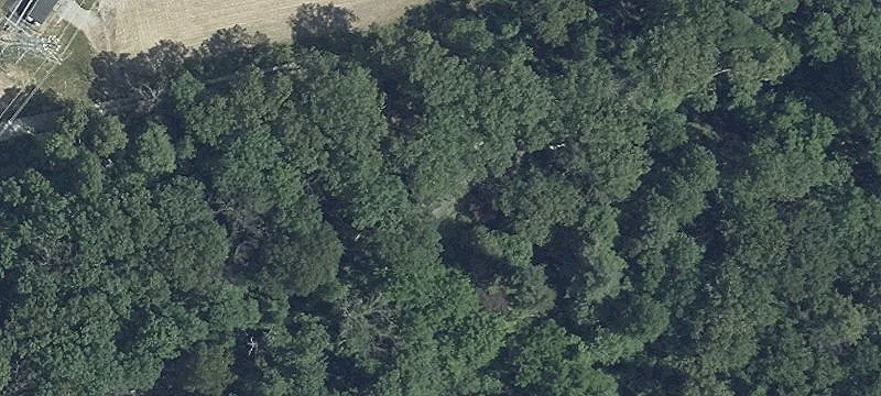 9.5 Acre Woodland Oasis