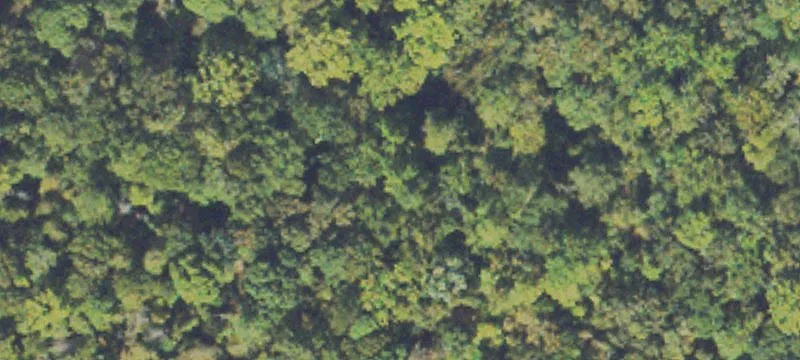 18.8 Acres Ready for Development