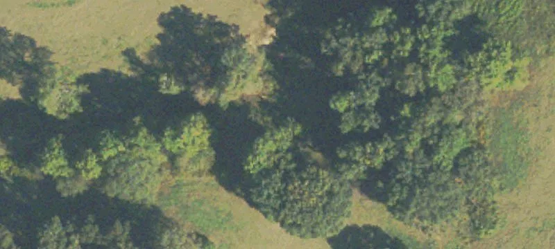 31 Acre Fenced Pasture Land