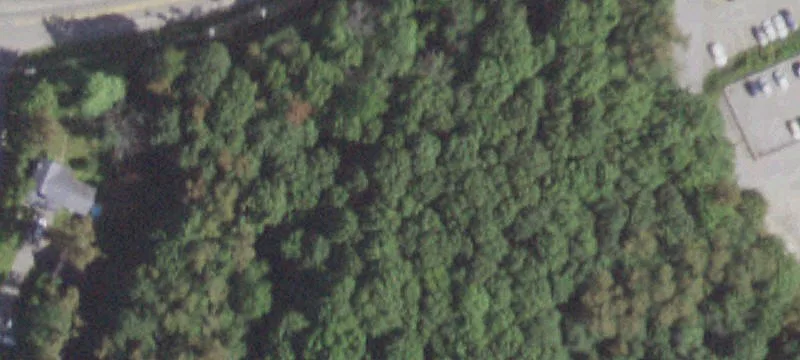 Commercial Land with Development Potential