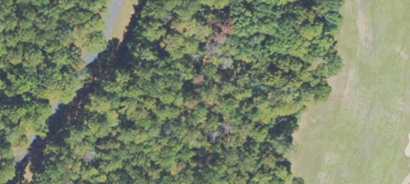 Residential Golf Lot Opportunity
