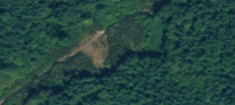Secluded 42-Acre Hunting and Recreation