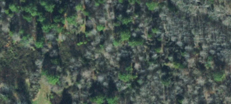 Scenic Williamson County Land Opportunity