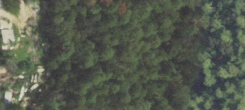 Residential Land Near The Woodlands