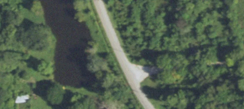 Undeveloped Land Near Lake Conroe