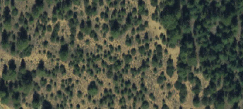 Land Near Creek and Trail