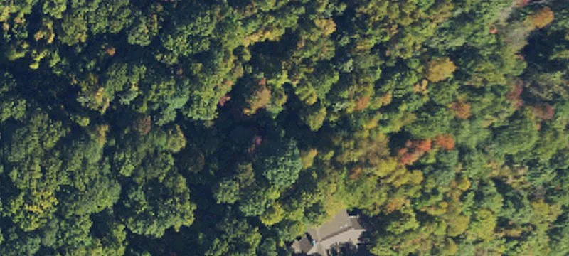 Balsam Mountain Preserve Land