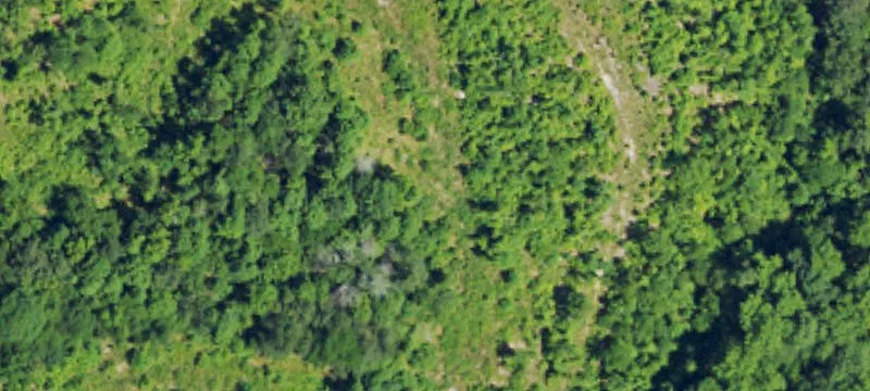 Unrestricted Land in Zebulon