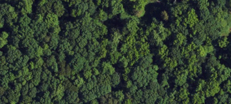 Greensboro Land Near Amazon Facility