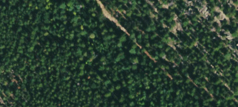 40 Acres Near Mount Thorodin