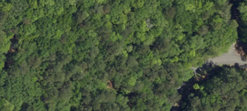 Briars Creek Estate Homesite