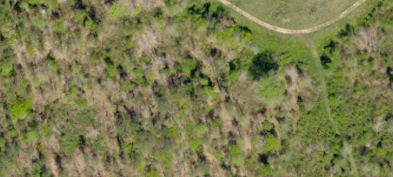 Unrestricted Land with Diverse Features