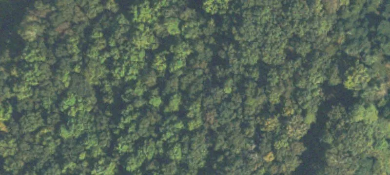 Versatile Acreage in Madison County