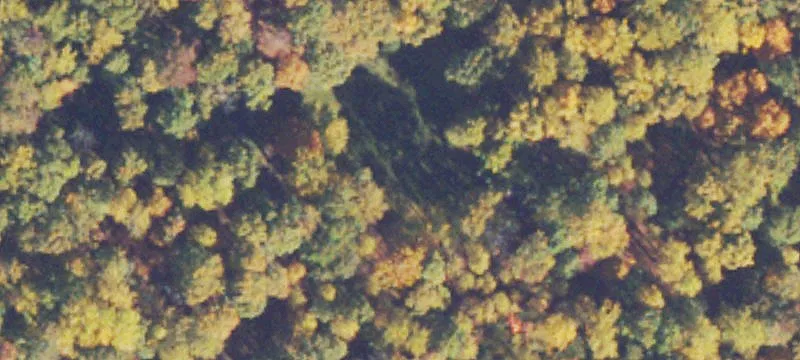 Cleared Land with Utilities
