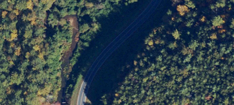 Serene Wooded Acreage For Sale