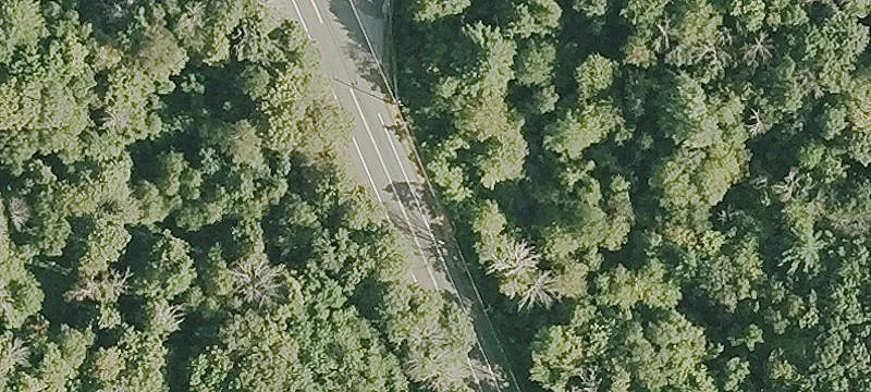 63 Acres Abutting State Forest