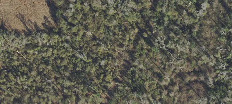 Secluded Land with Cabin Potential