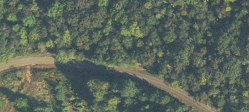Madison County Wooded Land Tract
