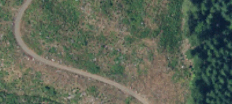Private Acreage Near West Olympia