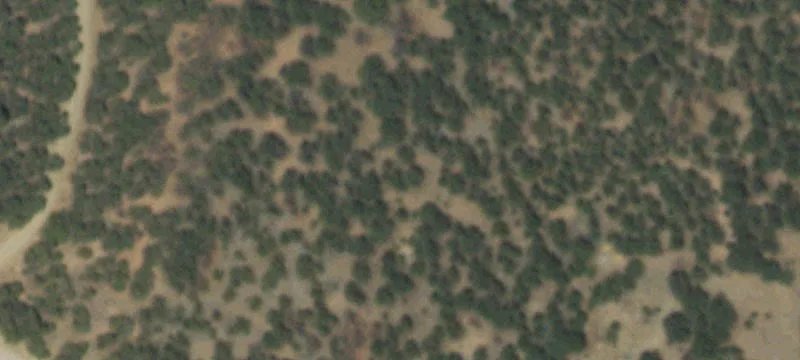 Land in Wooded Apache Ridge