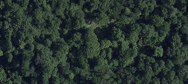 Wooded Land with River Views