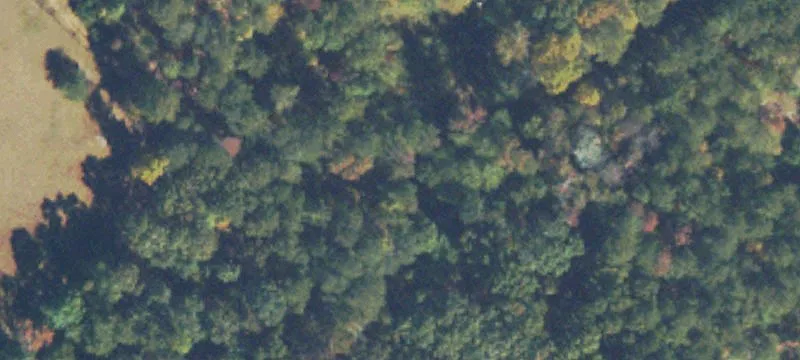 Wooded Lot Near Flowery Branch
