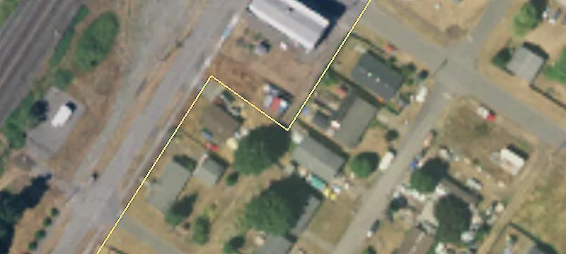 Christmas Tree Farm Opportunity