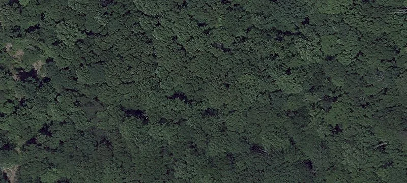 Buildable Wooded Lot For Sale