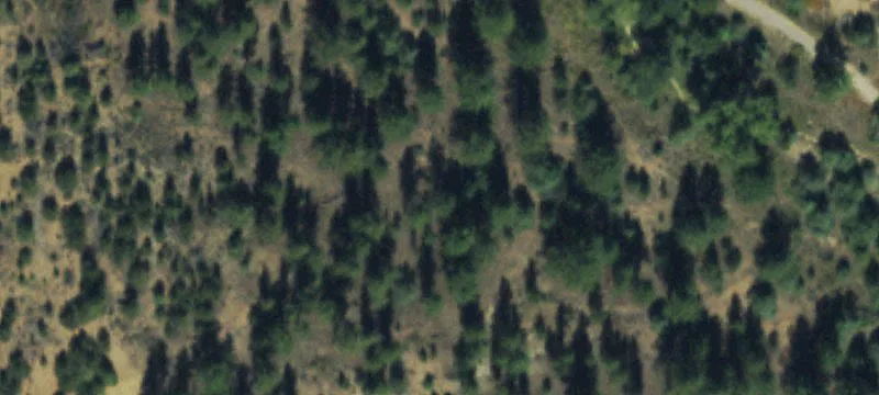 Salida Land with Water Rights
