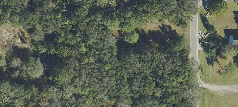 East Orlando Acreage Opportunity