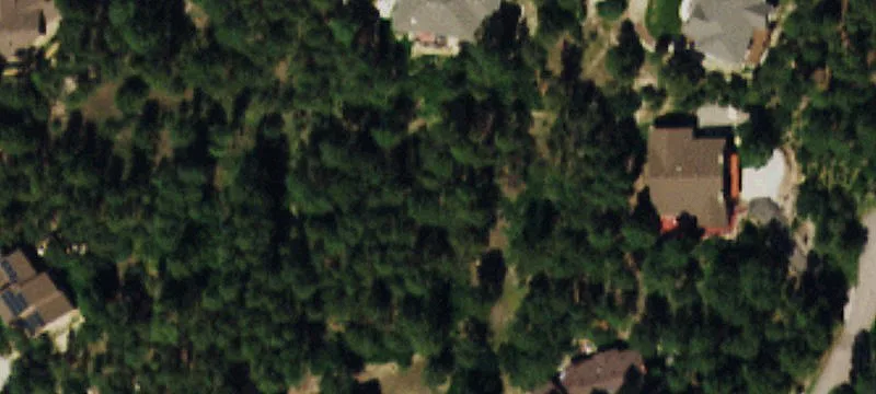 Wooded Lot in Desirable Woodmoor