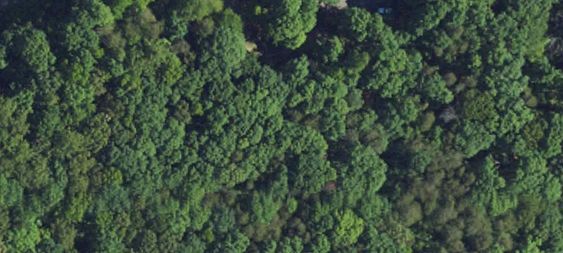Reidsville Land with Road Frontage