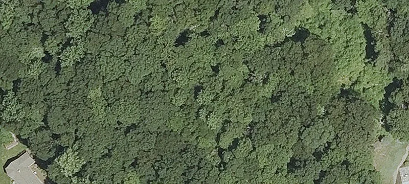 Residential Land in Established Neighborhood