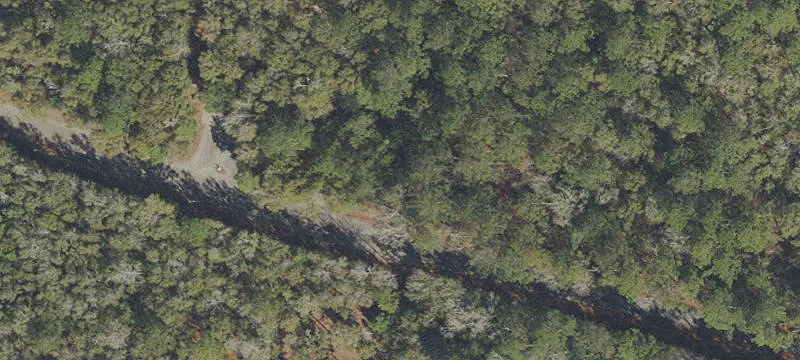 Wooded Land Parcel For Sale