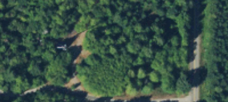 Harstine Island Level Acreage