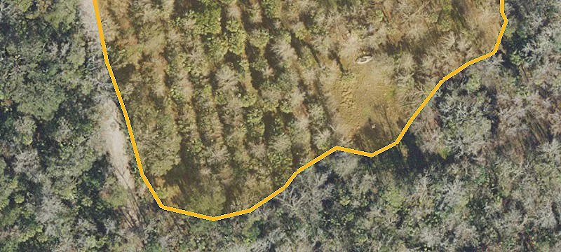 5 Acres of Private Land