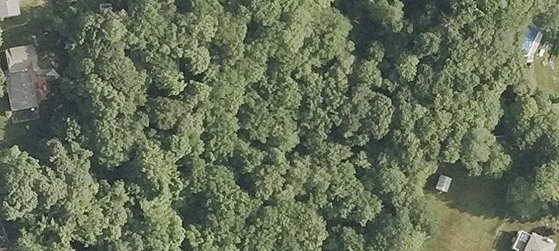 6.96 Acres of Wooded Land