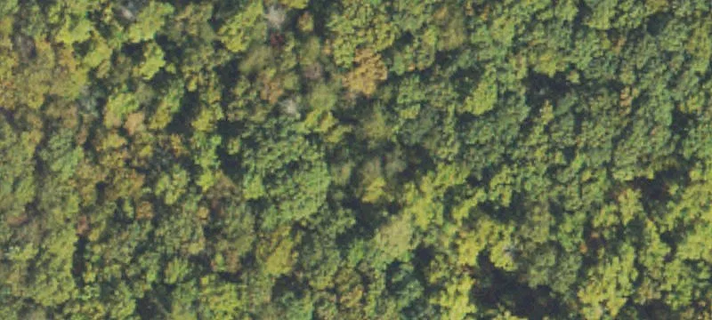 Unrestricted Land Near Appalachian Trail