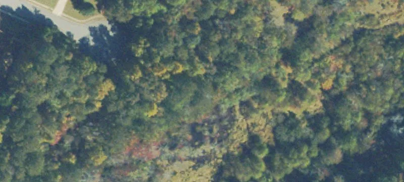 Residential Land in Buford, GA