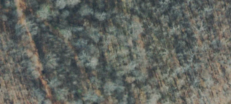 Wooded Land with Creek Frontage