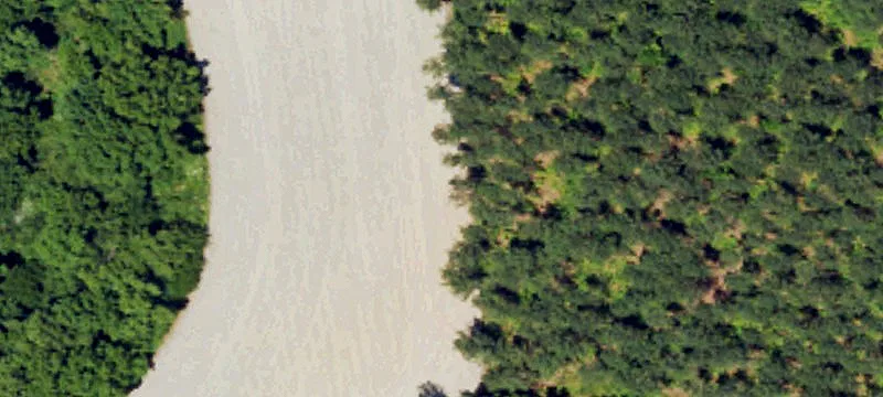 Wooded Lot Near Wendell Falls